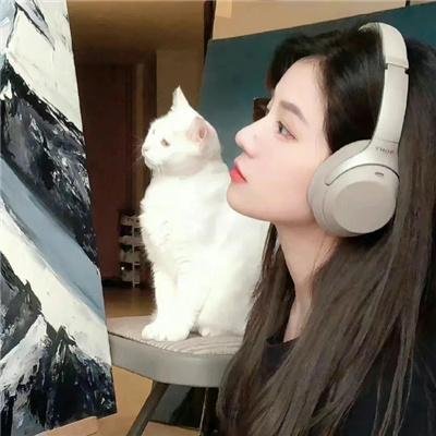 诺亚方舟